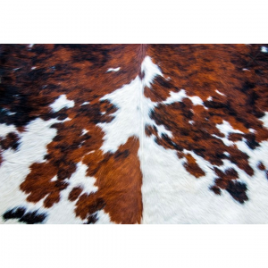 Cowhide Tissue Paper
