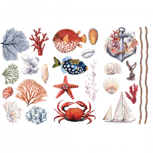 Amazing Sea Life Transfer 6" x 12"