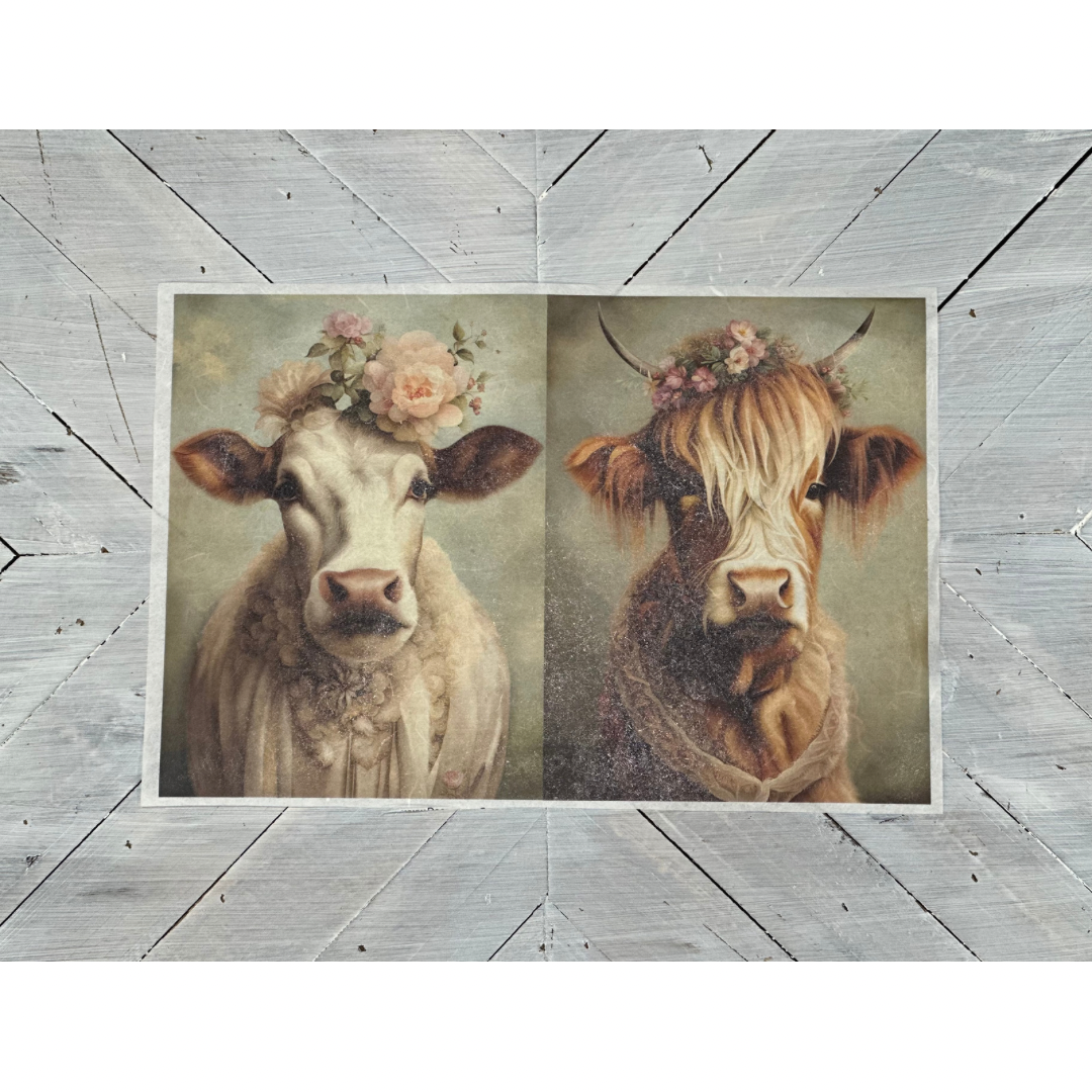 Dressed Up Cows Decoupage Rice Paper